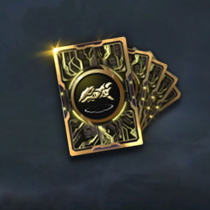 Premium Vehicle Package